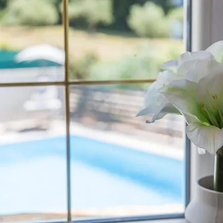 Aria Private Pool Near Villa