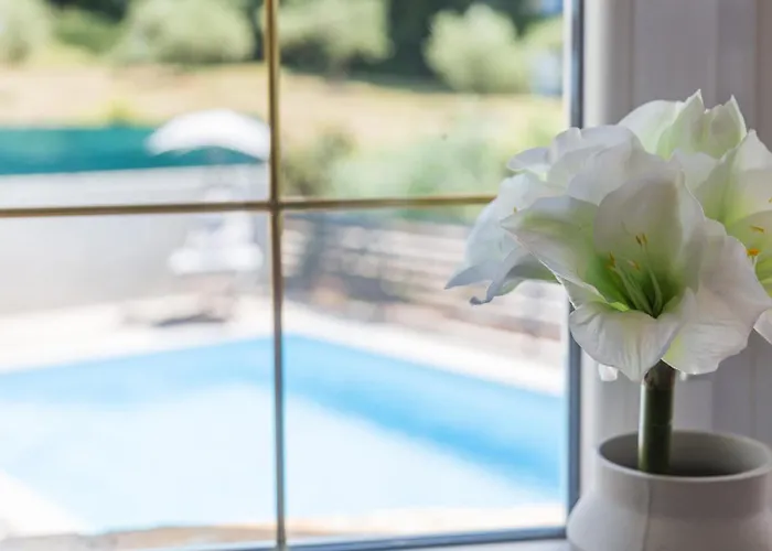 Aria Private Pool Near Vila